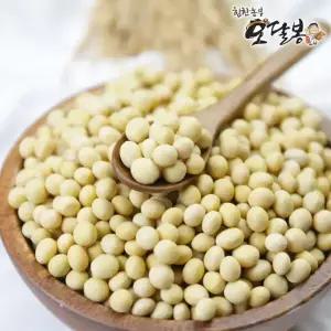 국산 백태 메주콩 콩국수용 대원콩 10kg