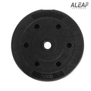 아리프 플렉스 원판 20kg 1개입 덤벨 홈짐 홈트
