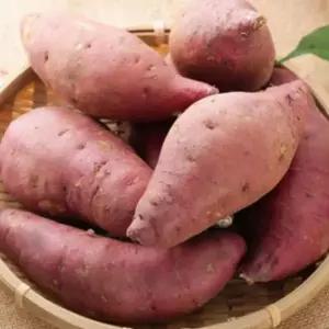 해남 고구마 호박고구마  5kg 소 중 대 중 선택