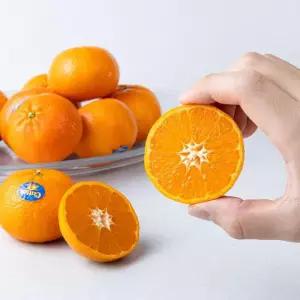 미국산 만다린 감귤 고당도 미국귤 3kg