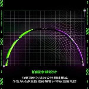 새로운 LiNing-HALBERTEC ZhanJi 9000 전문 제어 배드민턴 라켓 라인이있는 탄소 섬유 경쟁