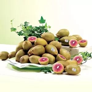 제스프리 루비레드 키위 1.8kg(23-26개내외)