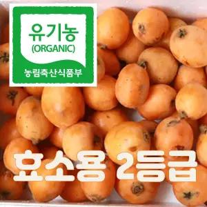 가마랑친환경유기농 완도비파열매 생과 5Kg못난이(비파청, 비파잼용 무선별)