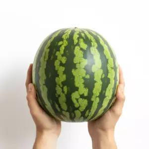 고당도 프리미엄 우곡수박  5kg, 1개