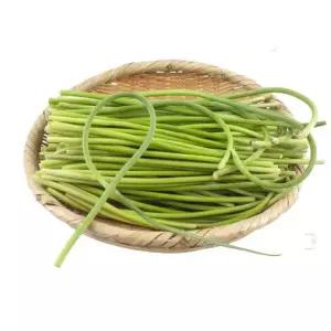 국내산 마늘쫑 2kg