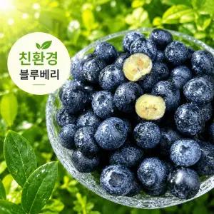 산지직송 친환경 국내산 생블루베리 1kg