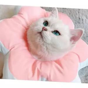 고양이 키티요요 플라워 넥카라 핑크 S 1P 수술 보호