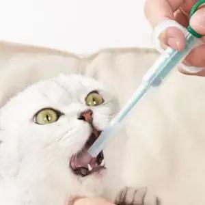 반려동물 고양이 약 주사기 1+1 강아지 알약 투약기 투여기