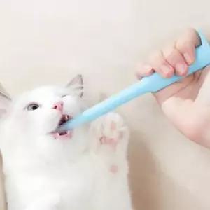 강아지 고양이 필건 약 먹이기 알약 캡슐 투약기 투여기