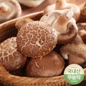 무농약 생표고버섯 파지 4kg 전남함평생산
