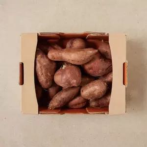 호박 고구마 (2kg)