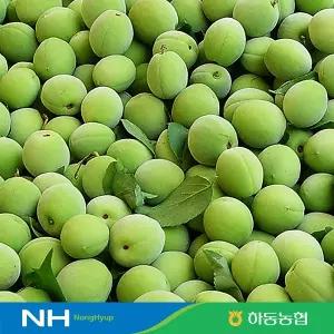 [산지직송/5월말순차출고] 하동농협 청매실 10kg(대/M)