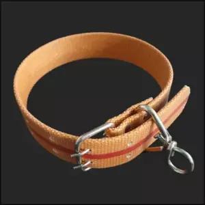 벨트목걸이 대형견 애견 개줄 소 목줄 밸트삼각 목걸이 40mm
