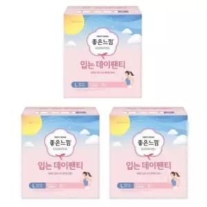 좋은느낌 입는 데이팬티 대형 8매 X 3팩 편안한생리대 입는