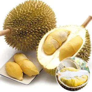 [웰프레쉬] 태국산 냉동 통두리안10kg (4~5통 전후)