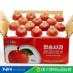 [대구경북능금농협]청송 정품 사과 10kg 32과내  부사