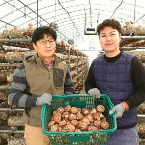 무농약 표고버섯 생표고버섯 하품1kg