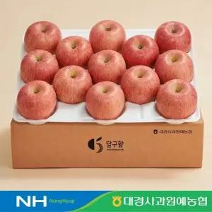 [대경사과원예농협]당도선별 경북 못난이사과 3kg 15과내