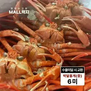 [수율미달시 교환가능]제철 봄 깊은바다 울릉도 독도 붉은대게 속초 최상급 박달홍게 중 2kg (6미)