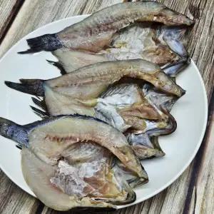 별미생선 북해도 반건조 우럭 6미 900g