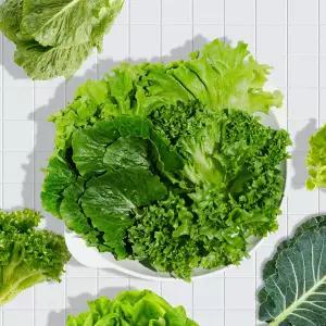 GAP인증 유러피안 샐러드 4종 모둠 1kg(프릴아이스, 카이피라, 버터헤드, 로메인)