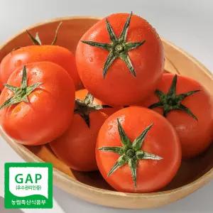 [GAP인증] 탱글과즙 완숙토마토 3kg (랜덤혼합과/1~5번과)