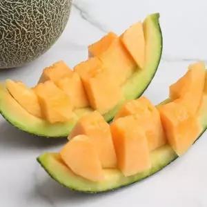 [예찬愛][자연속애] 전남곡성 노을멜론 4통 (통당1.6kg내외)