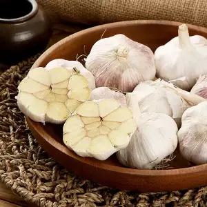 26년 수확 국내산 햇 마늘 5kg (대사이즈) 통마늘 피마늘