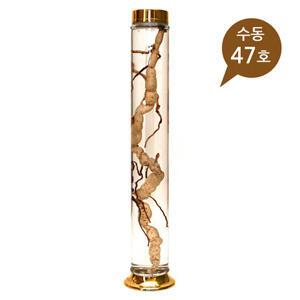 용천자연유리 수동 47호-1박스(6개)/담금주병/인삼주병/술병/과일주병/매실주/담금주/용천유리/47호