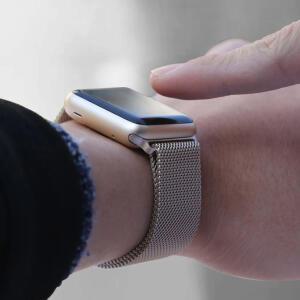 애플워치 호환 38mm 40mm 42mm 44mm 시계줄 밴드 밀레니즈 루프 스트랩 AW-B15