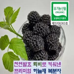 햇 유기농복분자 4kg 토종가시복분자 깨끗한하우스재배 고창