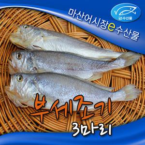 e수산물 반건조 작은부세조기3마리 20cm 구이용 조기 말린생선 부서 부세 제수생선 마산어시장 구이
