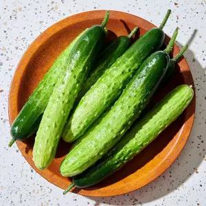 싱싱 국산 백 오이 3kg 15-21개 상 오이 백 다다기 오이 한박스 생오이 조선오이 오이지오이 반찬 거리