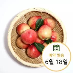 경북 고당도 신비복숭아 1kg 대과