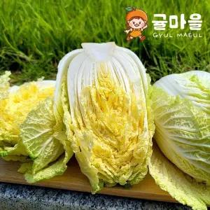 귤마을 국내산 쌈배추 알배추 4통 개당600g이상