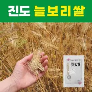 (100%국내산)산들바람 진도 늘보리쌀 800gx6봉_산지직송