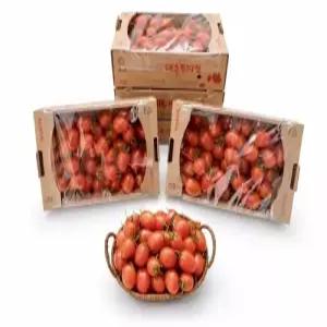 [GAP 인증]전남 화순 생산 대추 방울토마토 2kg, 5kg