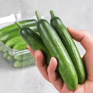 군위농장 미니오이 스낵오이 2kg