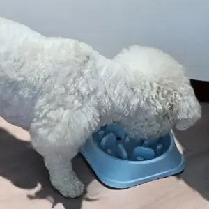 강아지 급체방지 밥그릇 라이트컬러