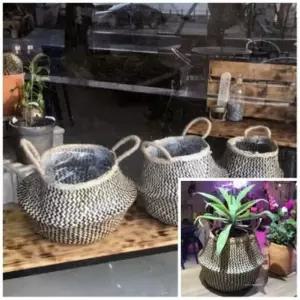 2중비닐 인테리어화분 이쁜화분 행잉바구니 해초바구니 27x29cm 왕골 원형라탄바구니