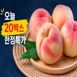 [26년 첫출하] 산지직송 고당도 하우스 복숭아 황도 백도 랜덤 중소과 500g