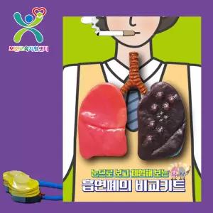 흡연폐의 비교키트 kim3-883 체험 금연 교육 기자재