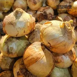 국내산 못난이 양파 3kg (혼합과/60-400g)