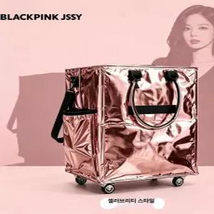 픽앤고 선풍기우산 바퀴달린장바구니 장바구니 마트카트 시장가방 바퀴달린장바구니쇼핑백