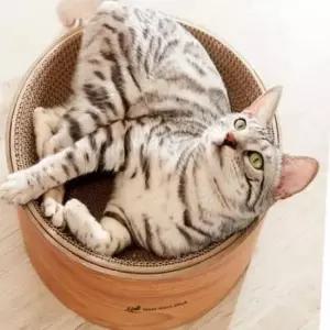 고양이 원형 스크레처 소파스크래처 고양이스트레스해소
