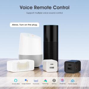 Tuya 스마트 WiFi 마이크로 USB Type-C 어댑터 스위치 5V 미니 전원 Alexa Google Yandex alice를 통한 라