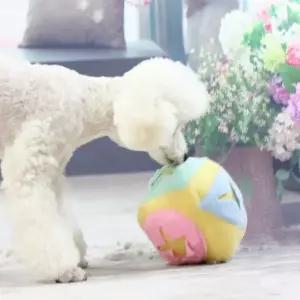 킁킁볼 토끼킁킁볼 노즈워크 간식볼 애견훈련 (W86F4FC)