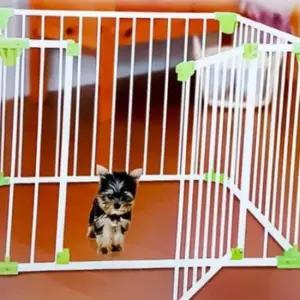 반려동물 4각 울타리(화이트) 강아직울타리 고양이펜스