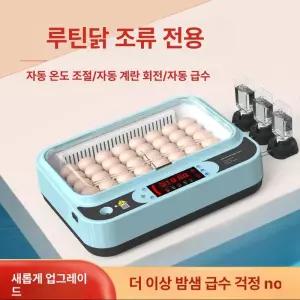 병아리 부화기 달걀 메추리 알 닭 유정란 계란 조류