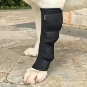 펫츠런슬개골탈구애견발목강아지다리보호대(XL)